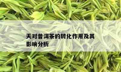 天对普洱茶的转化作用及其影响分析