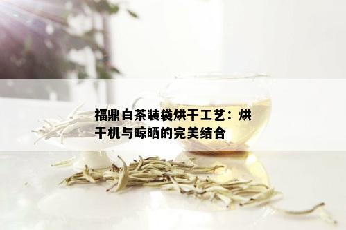 福鼎白茶装袋烘干工艺：烘干机与晾晒的完美结合