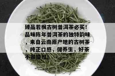 臻品若枫古树普洱茶必买！品味陈年普洱茶的独特韵味，来自云南原产地的古树茶，纯正口感，健养生，好茶不容错过！