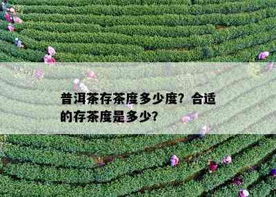 普洱茶存茶度多少度？合适的存茶度是多少？