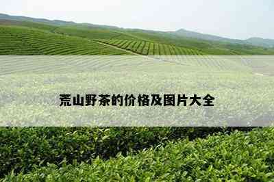 荒山野茶的价格及图片大全