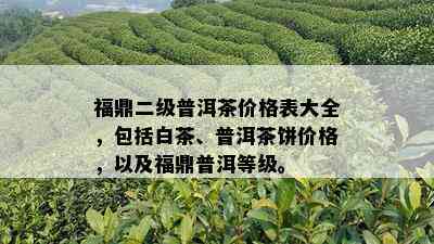 福鼎二级普洱茶价格表大全，包括白茶、普洱茶饼价格，以及福鼎普洱等级。