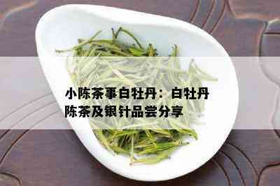 小陈茶事白牡丹：白牡丹 陈茶及银针品尝分享