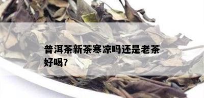 普洱茶新茶寒凉吗还是老茶好喝？