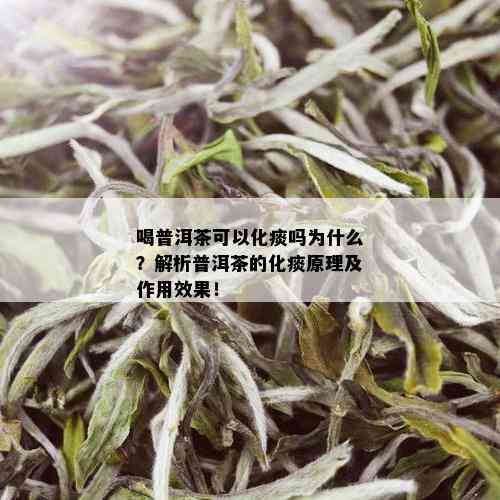 喝普洱茶可以化痰吗为什么？解析普洱茶的化痰原理及作用效果！