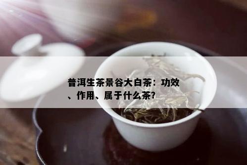 普洱生茶景谷大白茶：功效、作用、属于什么茶？