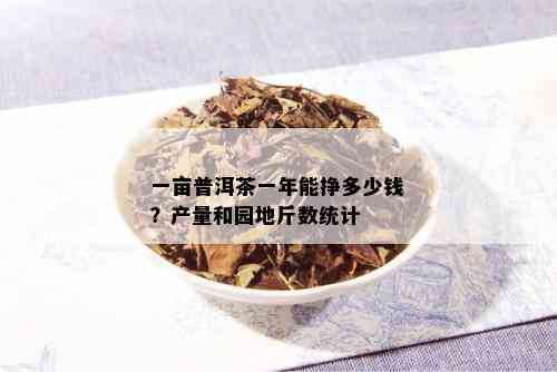 一亩普洱茶一年能挣多少钱？产量和园地斤数统计