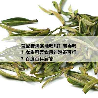 菊配普洱茶能喝吗？有吗？女生可否饮用？泡茶可行？百度百科解答