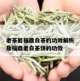 老茶岩福鼎白茶的功效解析及福鼎老白茶饼的功效