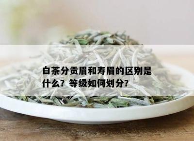 白茶分贡眉和寿眉的区别是什么？等级如何划分？