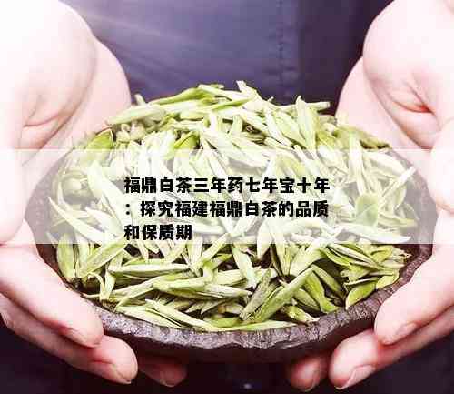 福鼎白茶三年七年宝十年：探究福建福鼎白茶的品质和保质期