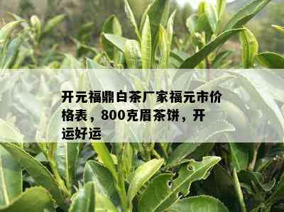 开元福鼎白茶厂家福元市价格表，800克眉茶饼，开运好运