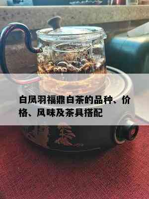 白凤羽福鼎白茶的品种、价格、风味及茶具搭配