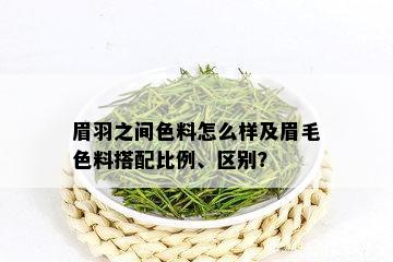 眉羽之间色料怎么样及眉毛色料搭配比例、区别？