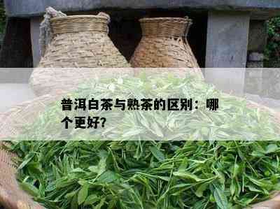 普洱白茶与熟茶的区别：哪个更好？