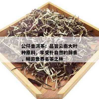 公仔普洱茶：品尝云南大叶种原料，享受朴自然的醇香，畅游世界名茶之林