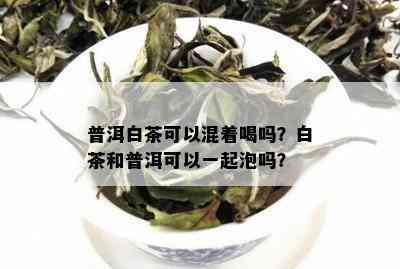 普洱白茶可以混着喝吗？白茶和普洱可以一起泡吗？