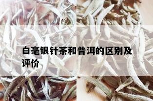 白毫银针茶和普洱的区别及评价