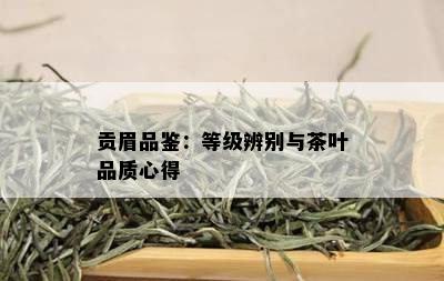 贡眉品鉴：等级辨别与茶叶品质心得