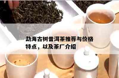 勐海古树普洱茶推荐与价格特点，以及茶厂介绍