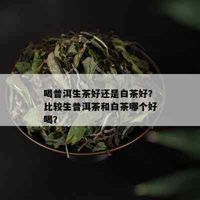 喝普洱生茶好还是白茶好？比较生普洱茶和白茶哪个好喝？