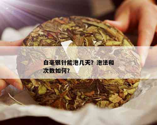 白毫银针能泡几天？泡法和次数如何？