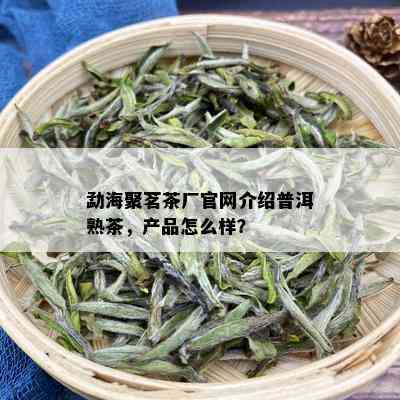 勐海聚茗茶厂官网介绍普洱熟茶，产品怎么样？