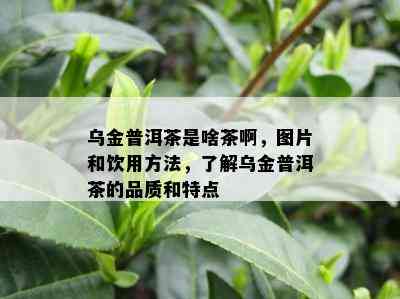 乌金普洱茶是啥茶啊，图片和饮用方法，了解乌金普洱茶的品质和特点