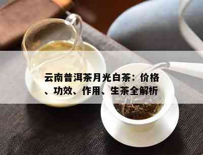 云南普洱茶月光白茶：价格、功效、作用、生茶全解析