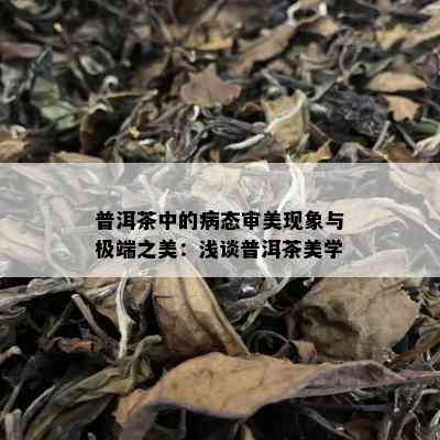 普洱茶中的病态审美现象与极端之美：浅谈普洱茶美学