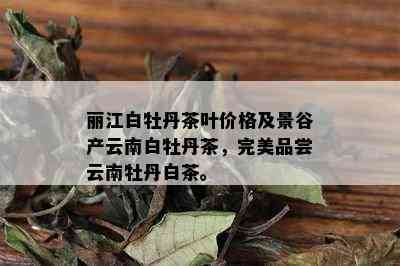 丽江白牡丹茶叶价格及景谷产云南白牡丹茶，完美品尝云南牡丹白茶。