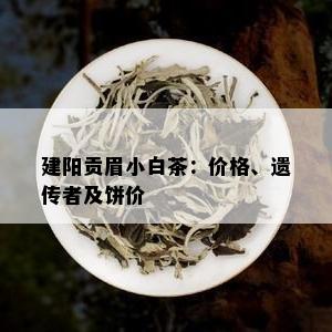 建阳贡眉小白茶：价格、遗传者及饼价