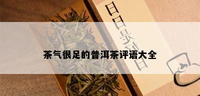 茶气很足的普洱茶评语大全