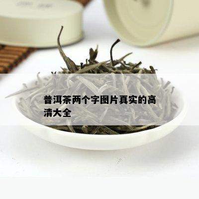 普洱茶两个字图片真实的高清大全