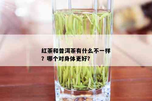 红茶和普洱茶有什么不一样？哪个对身体更好？