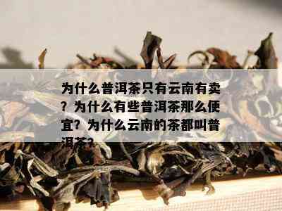 为什么普洱茶只有云南有卖？为什么有些普洱茶那么便宜？为什么云南的茶都叫普洱茶？