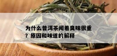 为什么普洱茶闻着臭味很重？原因和味道的解释