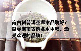 南古树普洱茶哪家品牌好？探寻南市古树名木中喝、更受欢迎的品牌！