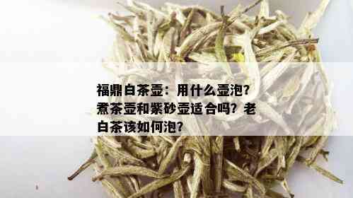 福鼎白茶壶：用什么壶泡？煮茶壶和紫砂壶适合吗？老白茶该如何泡？