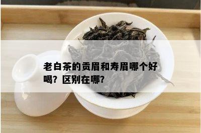 老白茶的贡眉和寿眉哪个好喝？区别在哪？