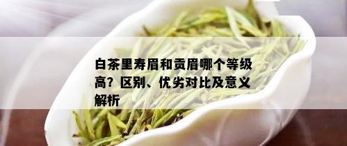 白茶里寿眉和贡眉哪个等级高？区别、优劣对比及意义解析