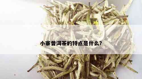 小寨普洱茶的特点是什么？