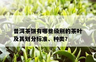 普洱茶饼有哪些级别的茶叶及其划分标准、种类？