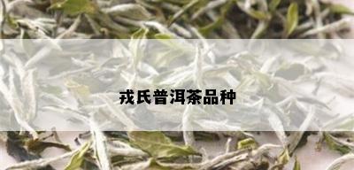 戎氏普洱茶品种