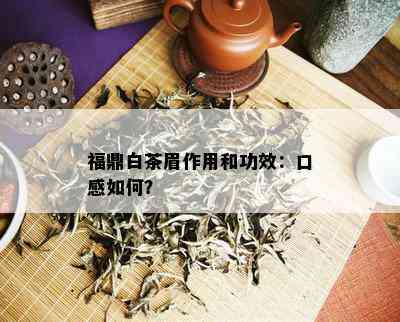 福鼎白茶眉作用和功效：口感如何？