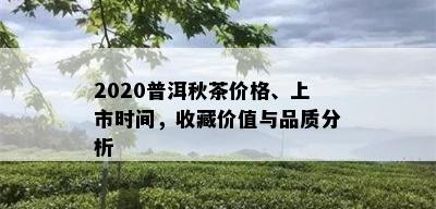 2020普洱秋茶价格、上市时间，收藏价值与品质分析