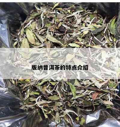 版纳普洱茶的特点介绍