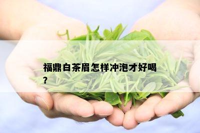 福鼎白茶眉怎样冲泡才好喝？