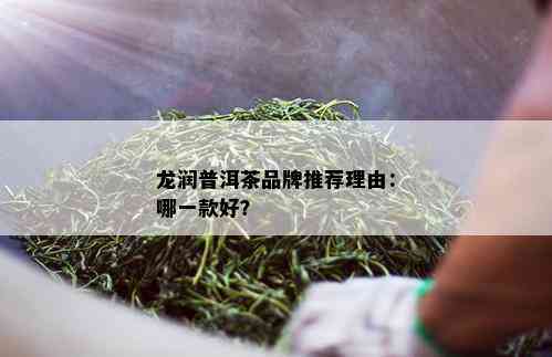 龙润普洱茶品牌推荐理由：哪一款好？