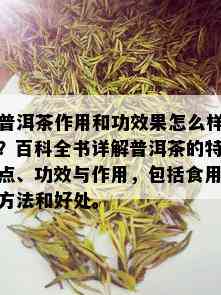 普洱茶作用和功效果怎么样？百科全书详解普洱茶的特点、功效与作用，包括食用方法和好处。